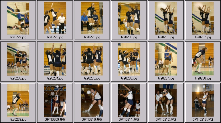 womens volleyball