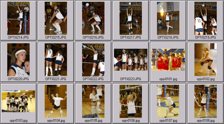 womens volleyball