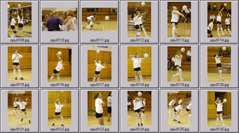 womens volleyball