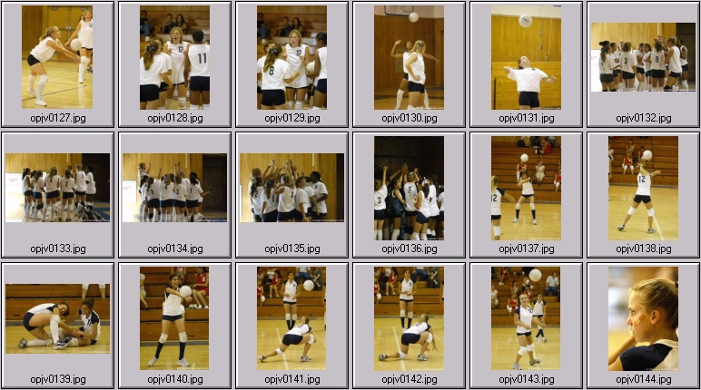 womens volleyball