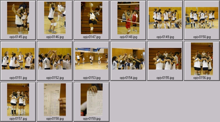 womens volleyball