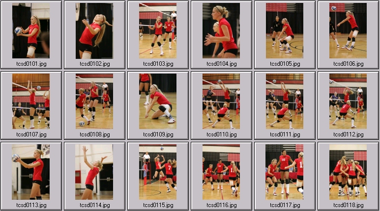womens volleyball