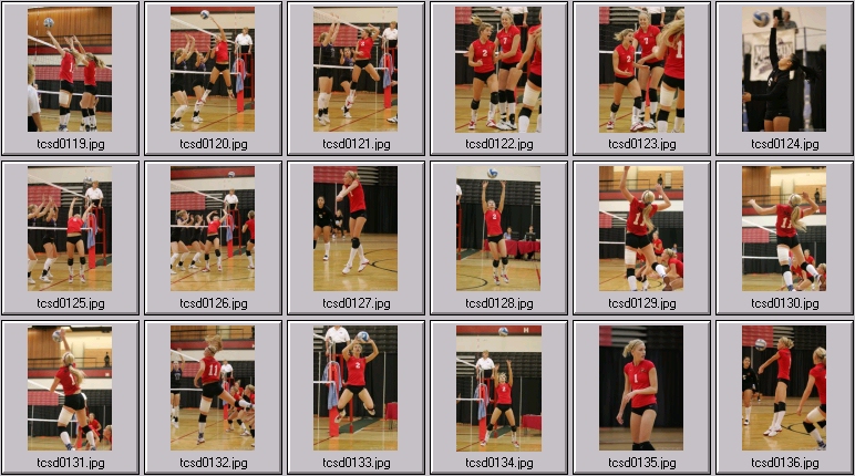 womens volleyball
