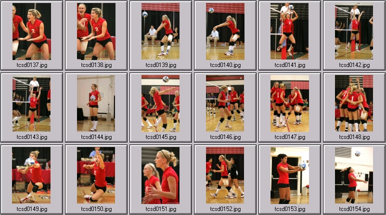 womens volleyball