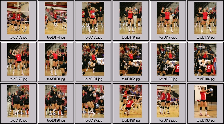 womens volleyball