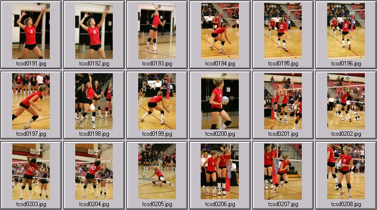 womens volleyball