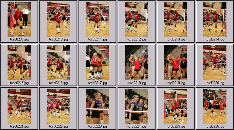 womens volleyball