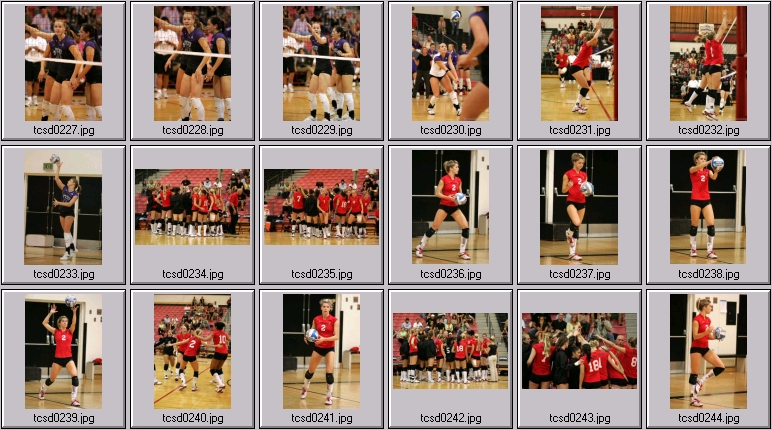 tcu volleyball