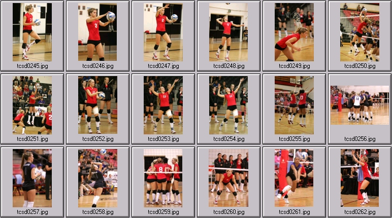 tcu volleyball