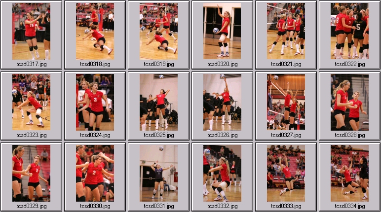 state volleyball