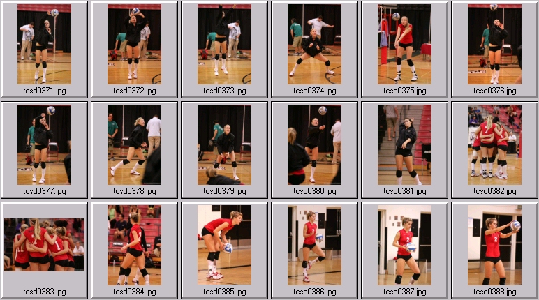 tcu volley
